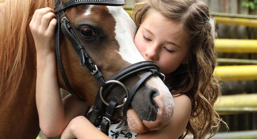 Looking for a pony for my child